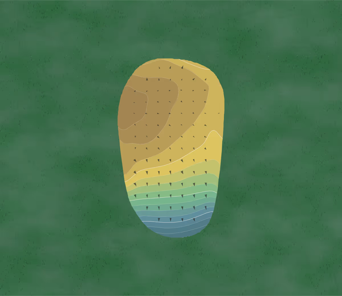 Green contour map of Piper Hills in Plainview, Minnesota — 134 elevation contours at a 3-inch interval with fall-line arrows, traced from 1-meter lidar