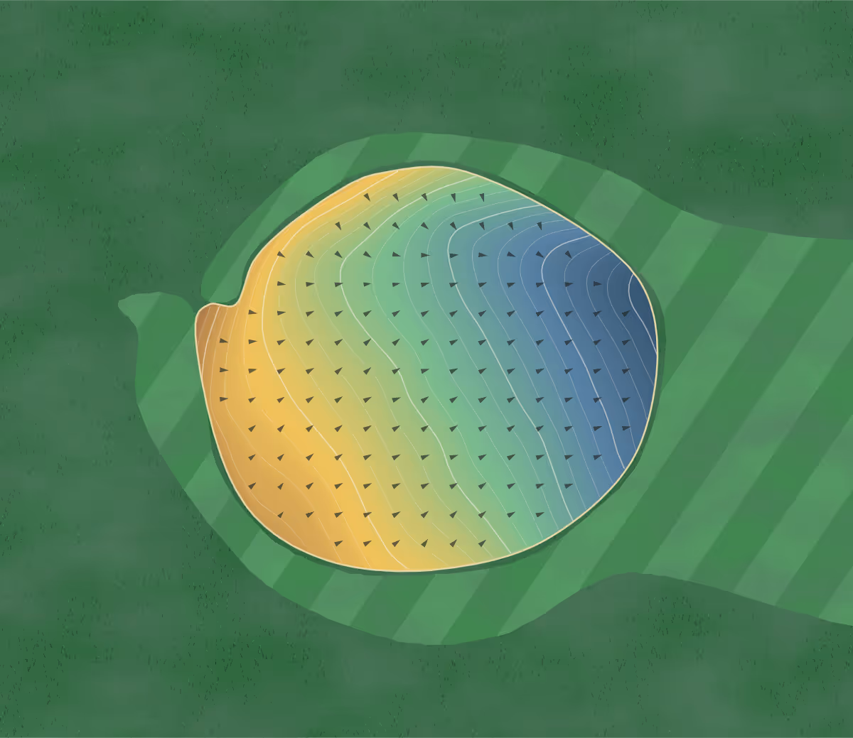 Green contour map of Pipestone Links in Millet, Canada: 121 elevation contours at a 8-centimeter interval with fall-line arrows, traced from 1-meter lidar