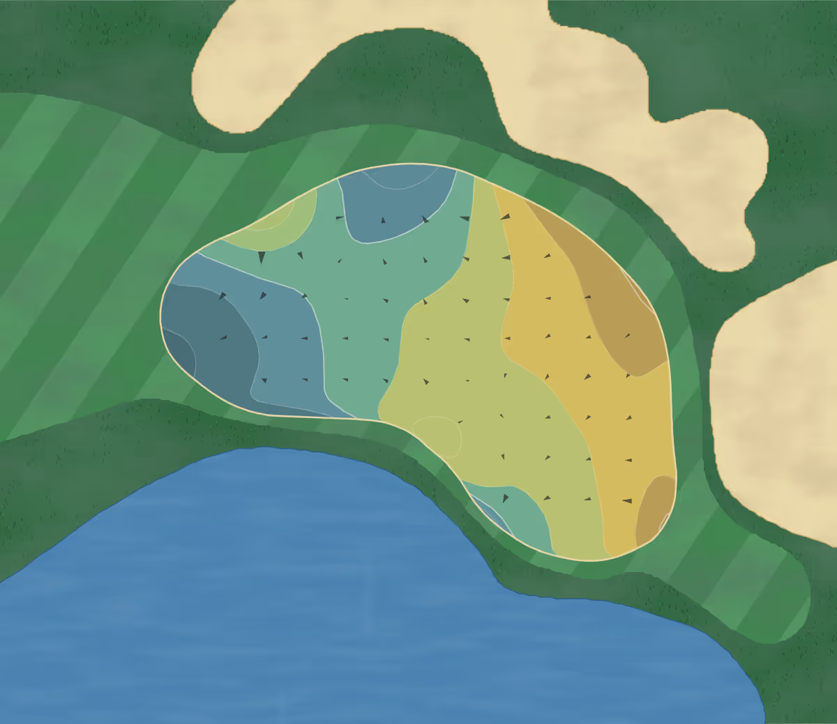 Green contour map of Plantation Preserve in Plantation, Florida — 137 elevation contours at a 3-inch interval with fall-line arrows, traced from 1-meter lidar