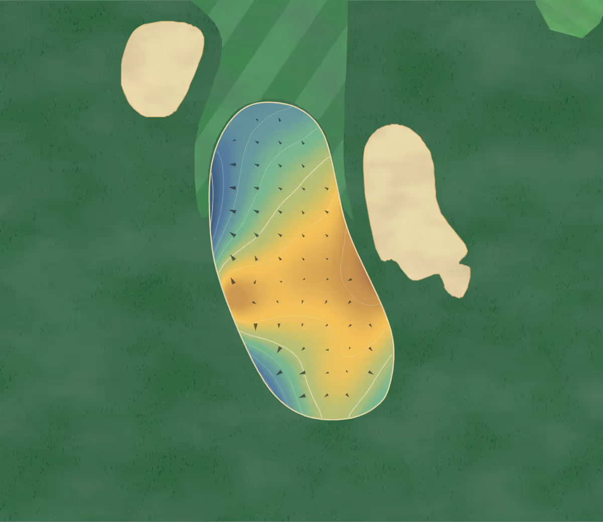Green contour map of Player's Ridge in Hickory, North Carolina: 88 elevation contours at a 3-inch interval with fall-line arrows, traced from 1-meter lidar
