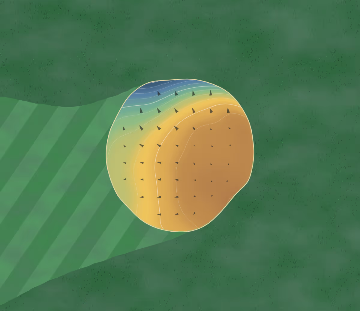 Green contour map of Pleasant Valley in Medina, Ohio — 48 elevation contours at a 3-inch interval with fall-line arrows, traced from 1-meter lidar