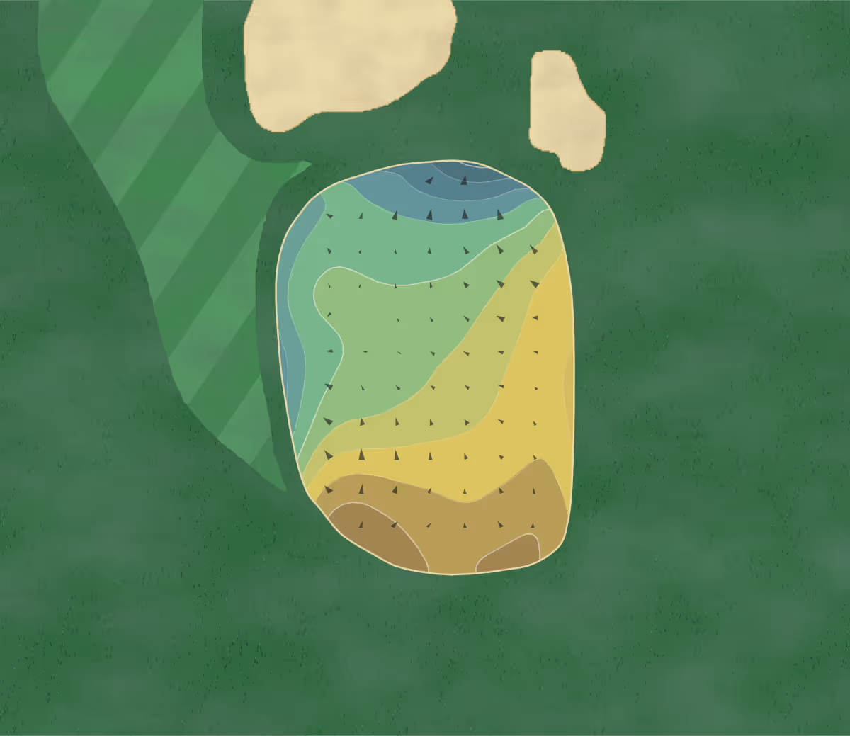 Green contour map of Point Judith in Narragansett, Rhode Island — 183 elevation contours at a 3-inch interval with fall-line arrows, traced from 1-meter lidar