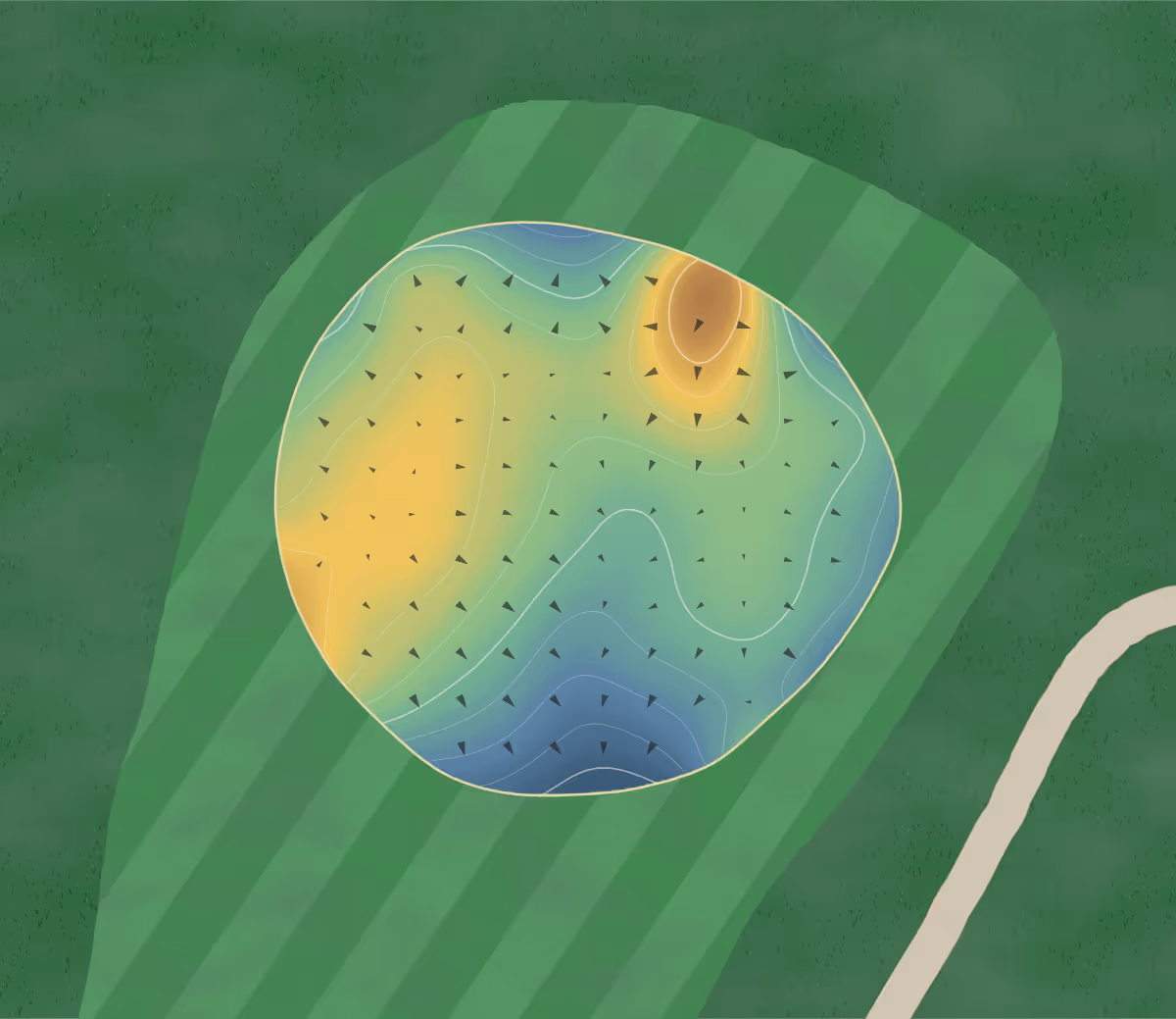 Green contour map of Ponkapoag in Canton, Massachusetts — 202 elevation contours at a 3-inch interval with fall-line arrows, traced from 1-meter lidar