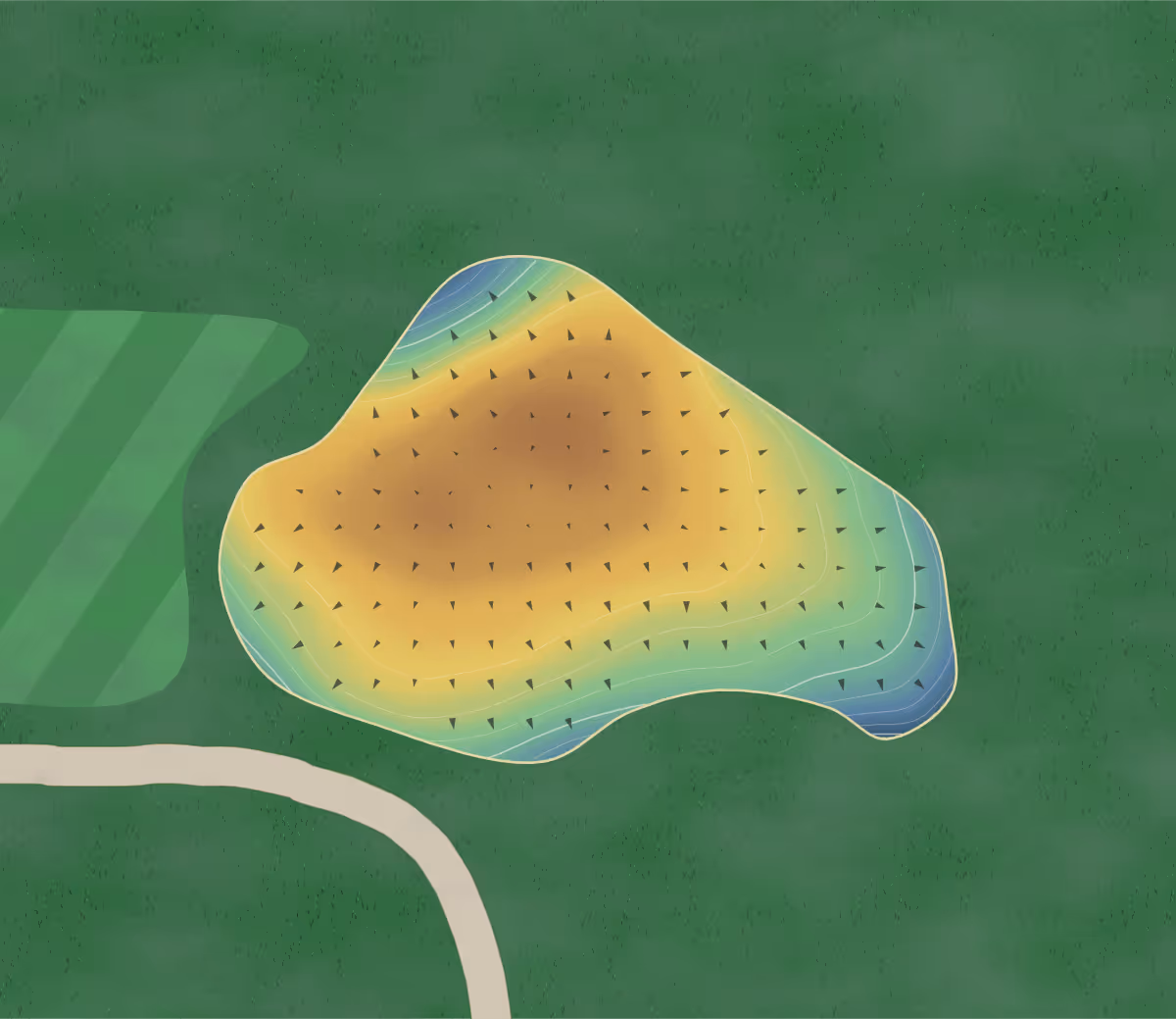 Green contour map of Poplar Ridge in Onanole, Canada — 165 elevation contours at a 8-centimeter interval with fall-line arrows, traced from 1-meter lidar