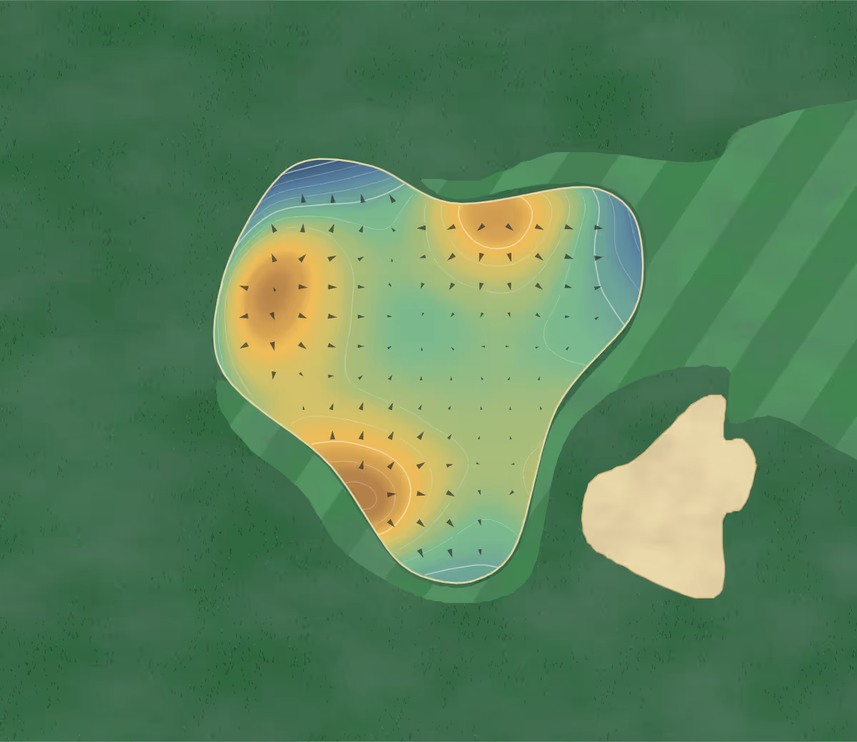 Green contour map of Poppy Estate in Aldergrove, Canada: 256 elevation contours at a 8-centimeter interval with fall-line arrows, traced from 1-meter lidar