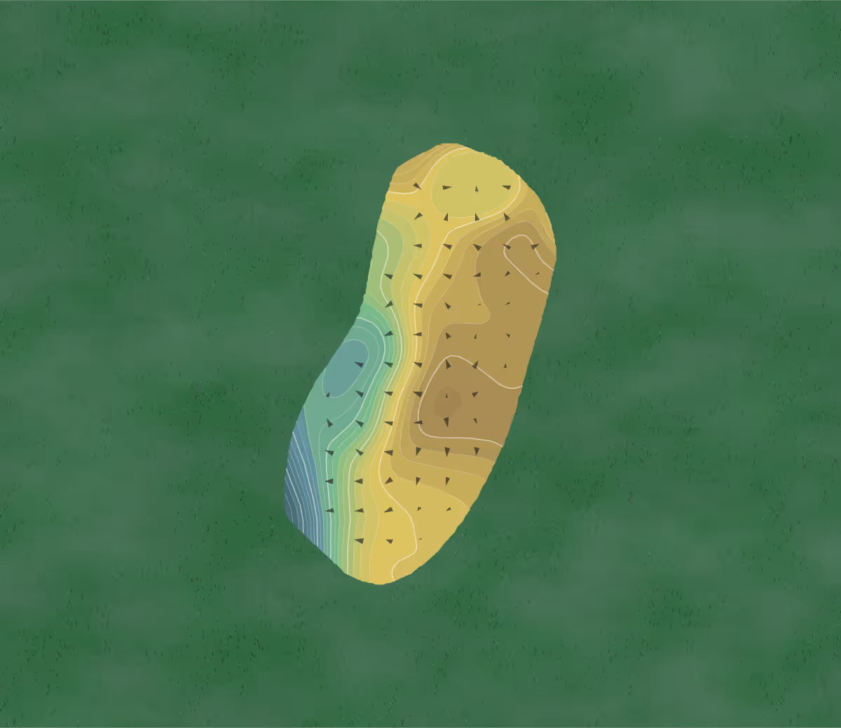 Green contour map of Port Huron in Fort Gratiot, Michigan — 347 elevation contours at a 3-inch interval with fall-line arrows, traced from 1-meter lidar