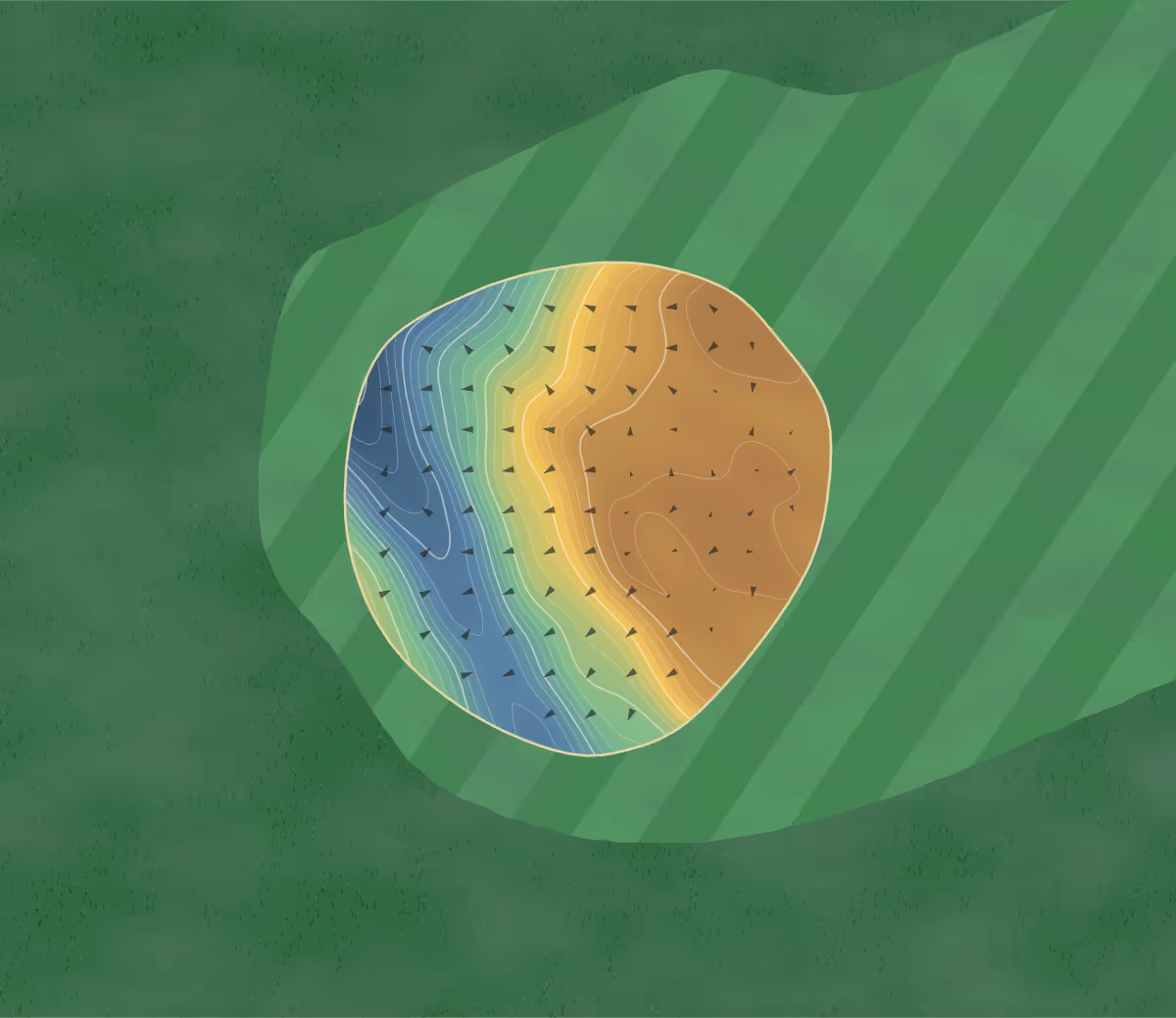 Green contour map of Tarbat in Tain, Scotland — 142 elevation contours at a 8-centimeter interval with fall-line arrows, traced from 1-meter lidar