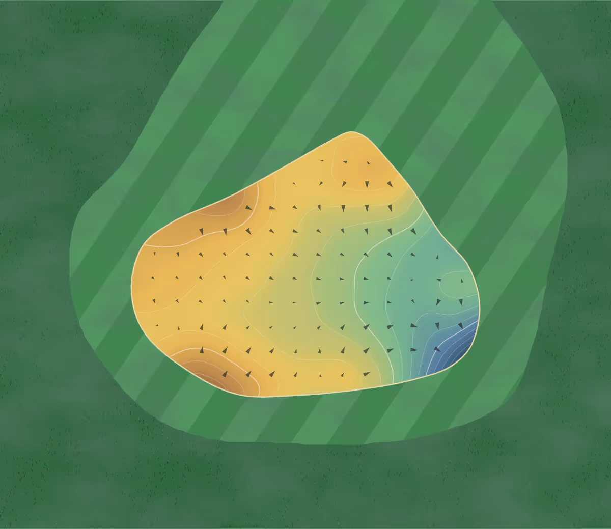 Green contour map of Poult Wood in Tonbridge, England: 125 elevation contours at a 8-centimeter interval with fall-line arrows, traced from 1-meter lidar
