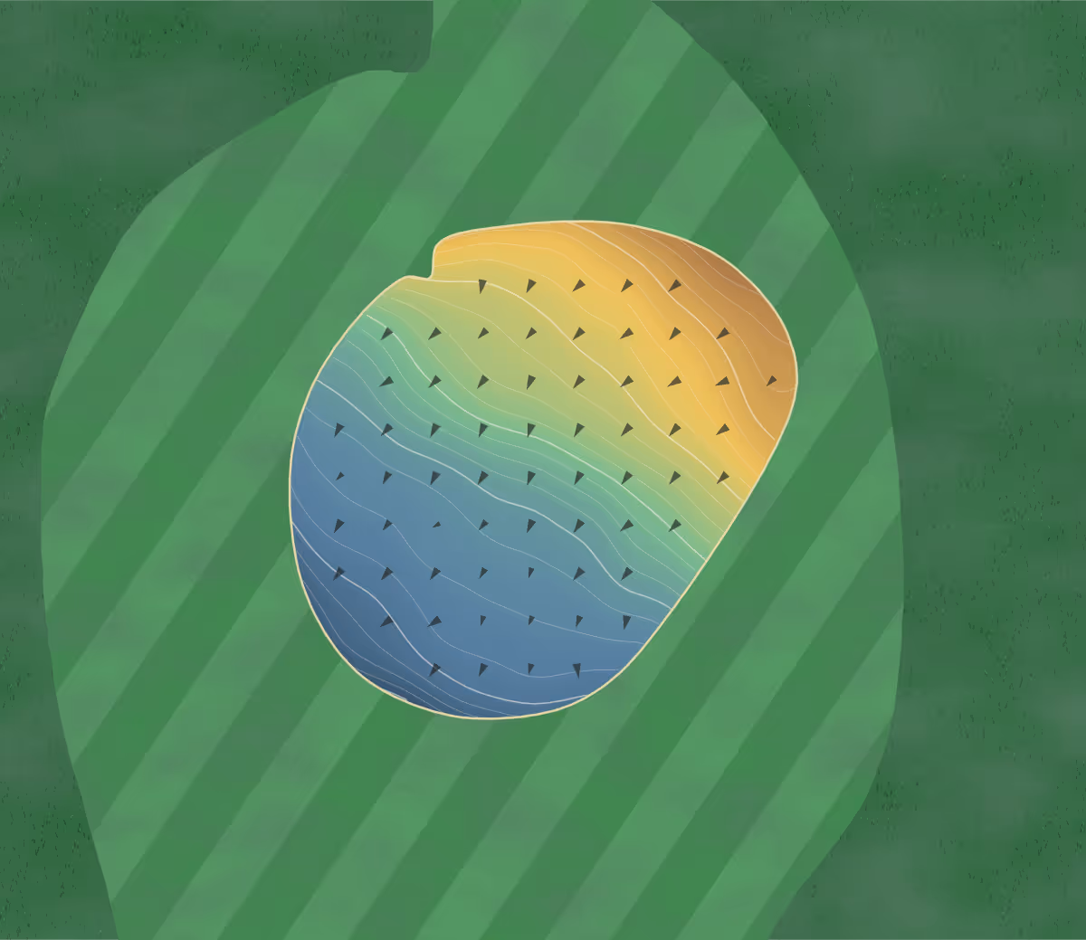 Green contour map of Prairie Pines in North Platte, Nebraska: 64 elevation contours at a 3-inch interval with fall-line arrows, traced from 1-meter lidar