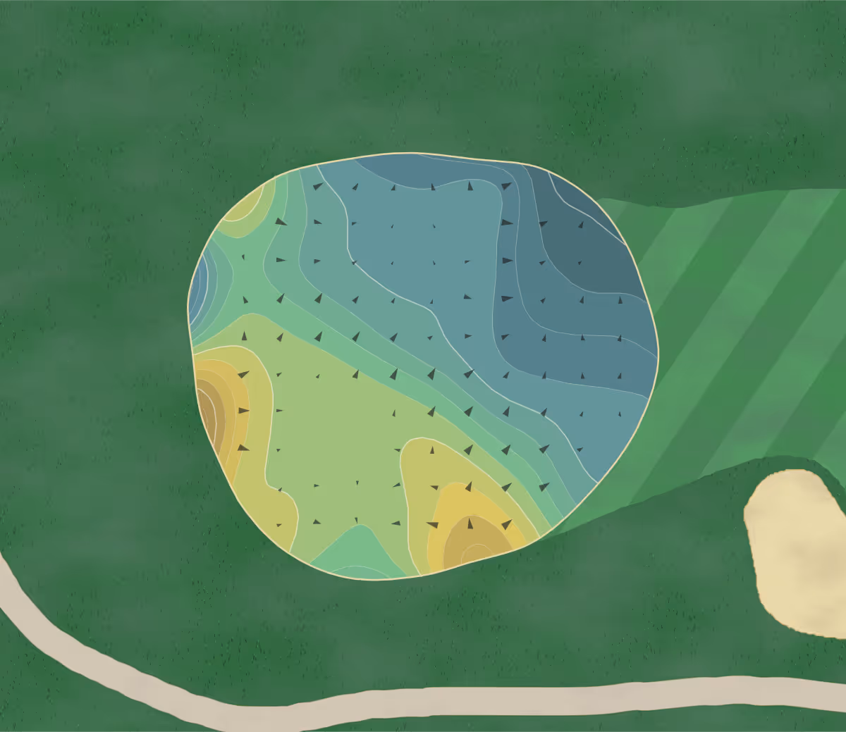 Green contour map of Preserve Turnbull in New Smyrna Beach, Florida — 216 elevation contours at a 3-inch interval with fall-line arrows, traced from 1-meter lidar