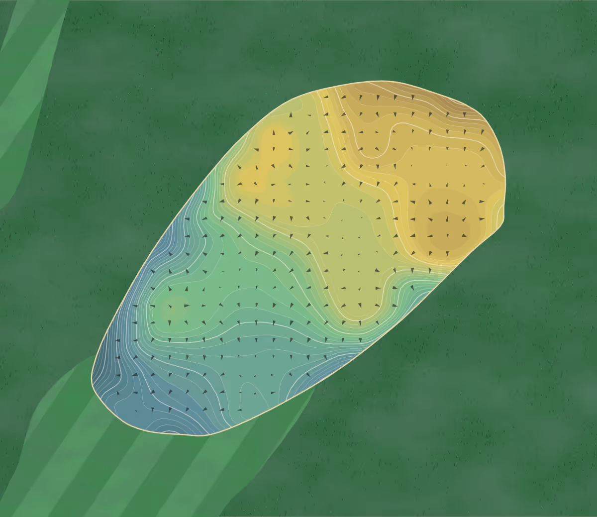 Green contour map of Primland Resort in Meadows of Dan, Virginia — 362 elevation contours at a 3-inch interval with fall-line arrows, traced from 1-meter lidar