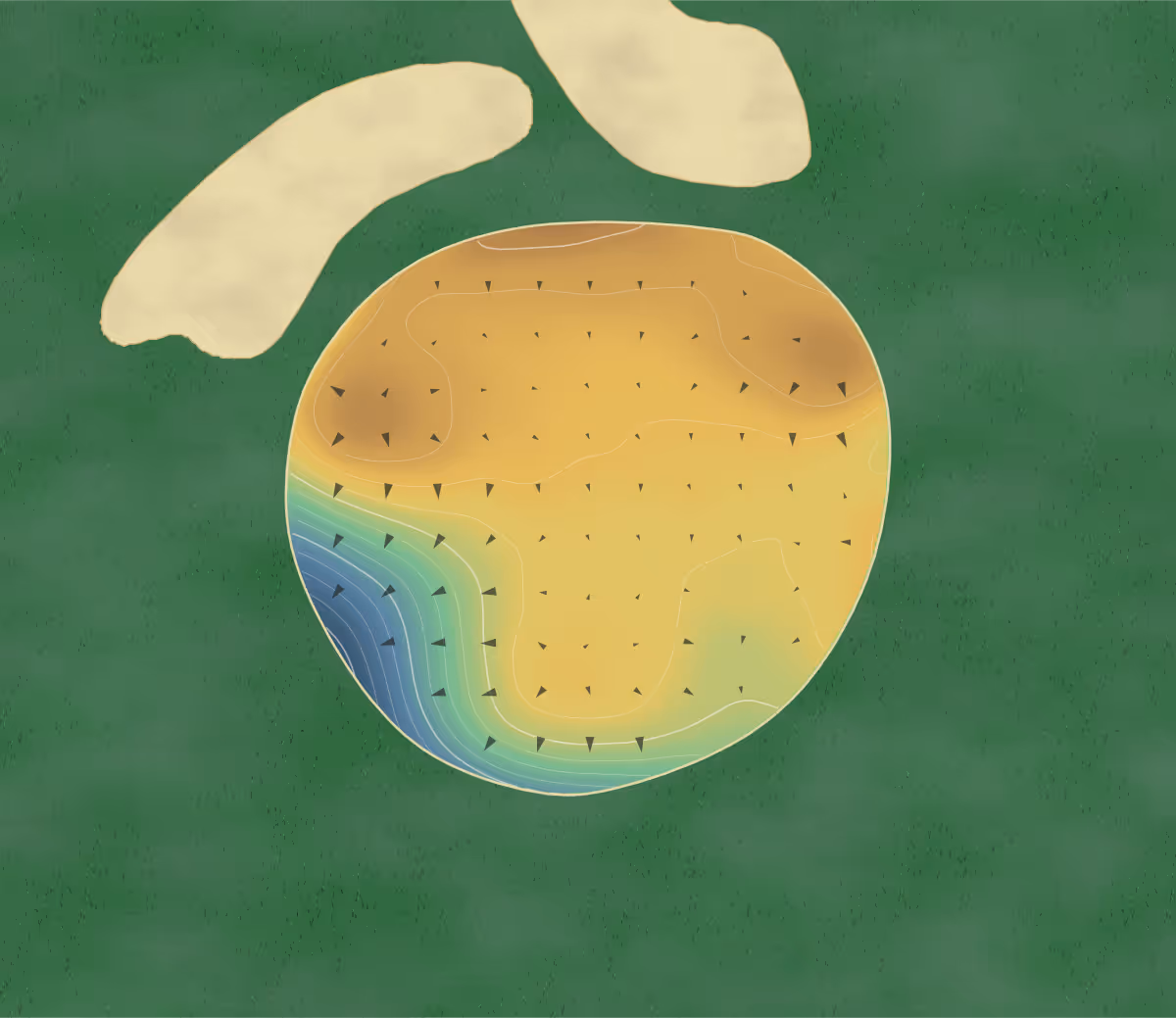 Green contour map of Princess Anne in Virginia Beach, Virginia: 162 elevation contours at a 3-inch interval with fall-line arrows, traced from 1-meter lidar