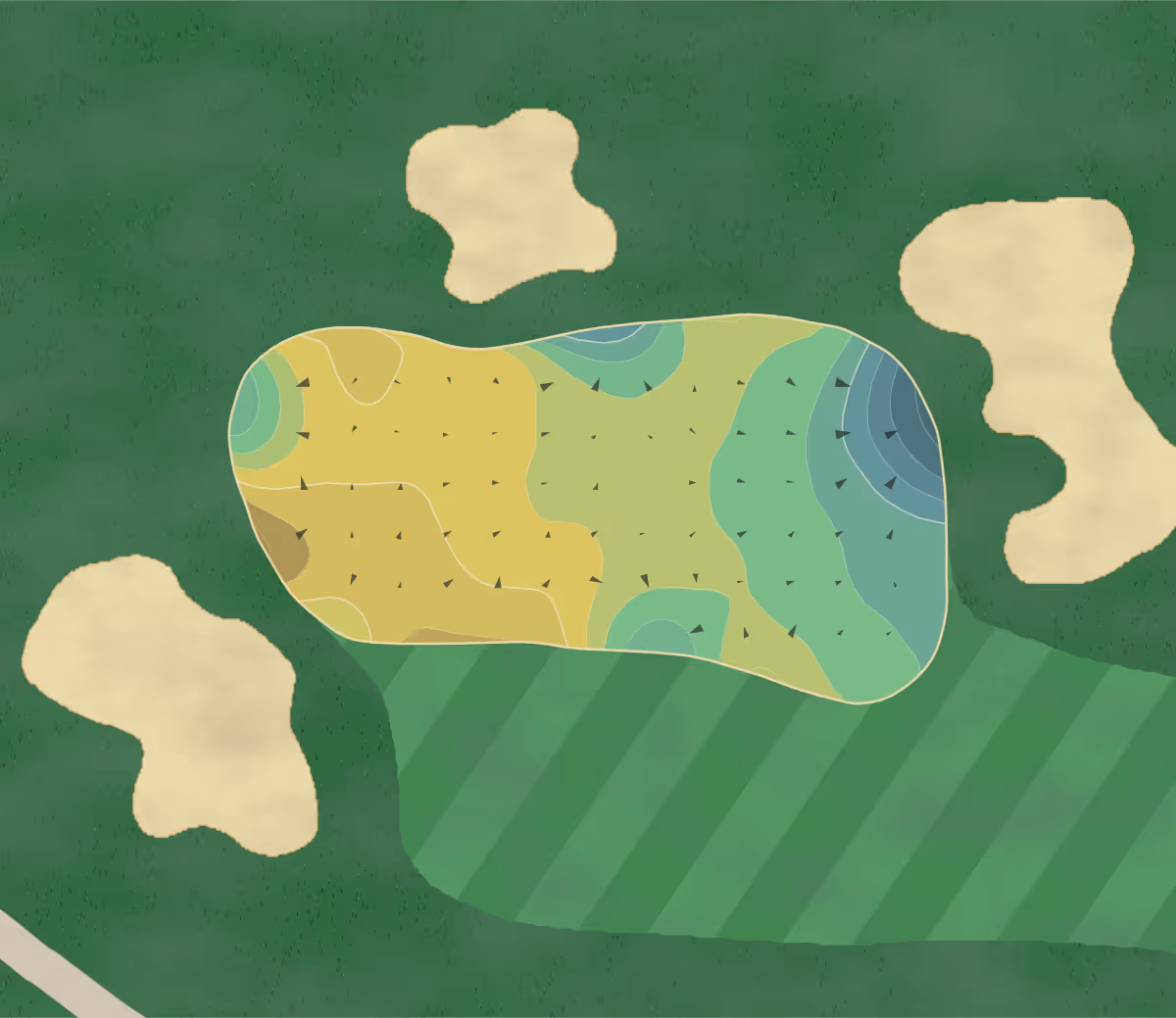 Green contour map of Ptarmigan in Fort Collins, Colorado — 218 elevation contours at a 3-inch interval with fall-line arrows, traced from 1-meter lidar