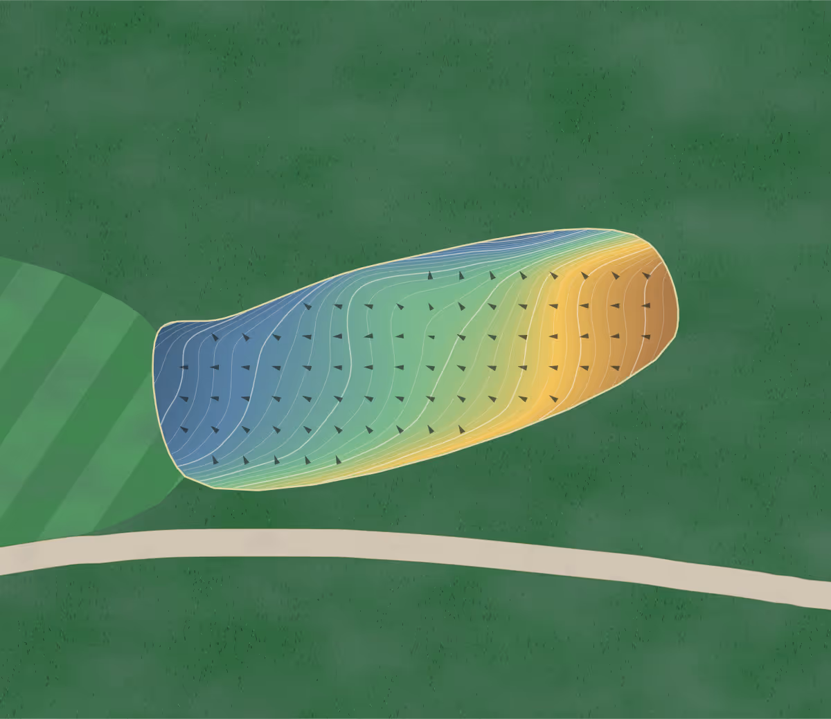 Green contour map of Quail Hollow in Boise, Idaho — 262 elevation contours at a 3-inch interval with fall-line arrows, traced from 1-meter lidar