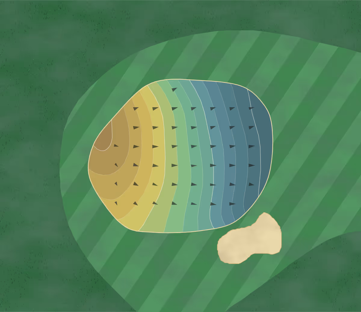 Green contour map of Quail Run GC - Sun City in Sun City, Arizona — 80 elevation contours at a 3-inch interval with fall-line arrows, traced from 1-meter lidar