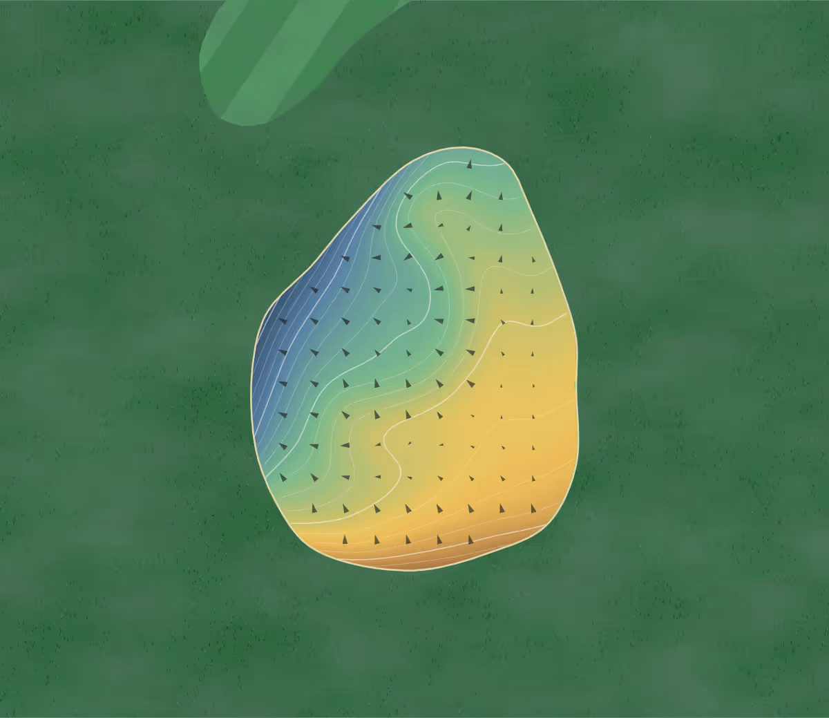 Green contour map of Raccoon Run in Warsaw, Indiana: 186 elevation contours at a 3-inch interval with fall-line arrows, traced from 1-meter lidar