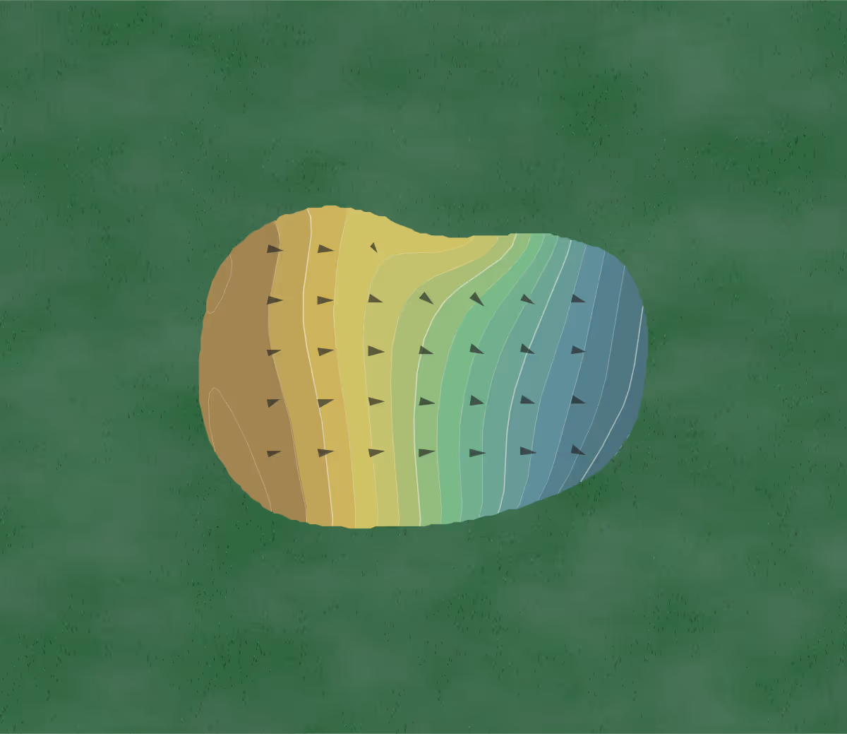 Green contour map of Rainbow's End in Dunnellon, Florida — 88 elevation contours at a 3-inch interval with fall-line arrows, traced from 1-meter lidar