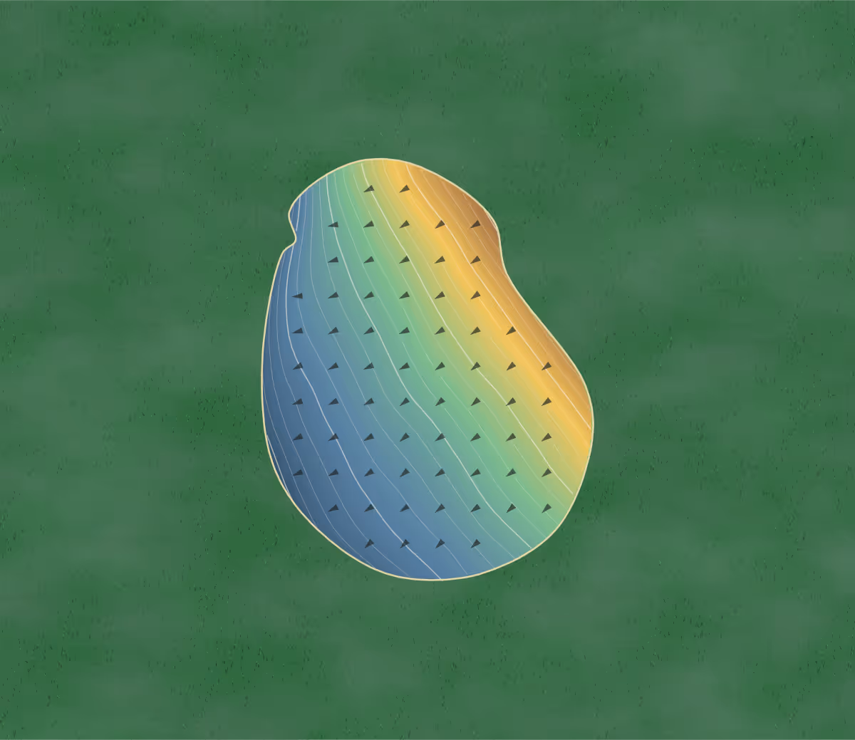 Green contour map of Raintree in Hillsboro, Missouri: 305 elevation contours at a 3-inch interval with fall-line arrows, traced from 1-meter lidar