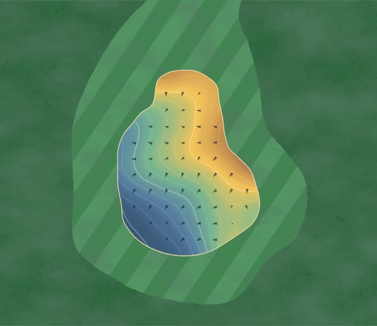 Green contour map of Raleigh in Raleigh, North Carolina: 12 elevation contours at a 3-inch interval with fall-line arrows, traced from 1-meter lidar