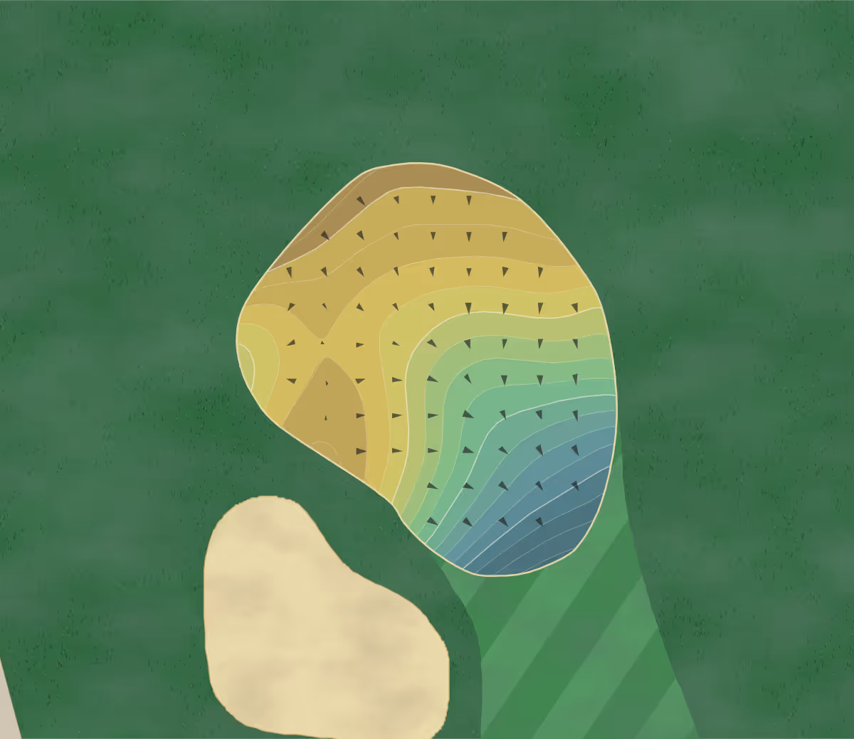 Green contour map of Ranch in Westminster, Colorado — 275 elevation contours at a 3-inch interval with fall-line arrows, traced from 1-meter lidar
