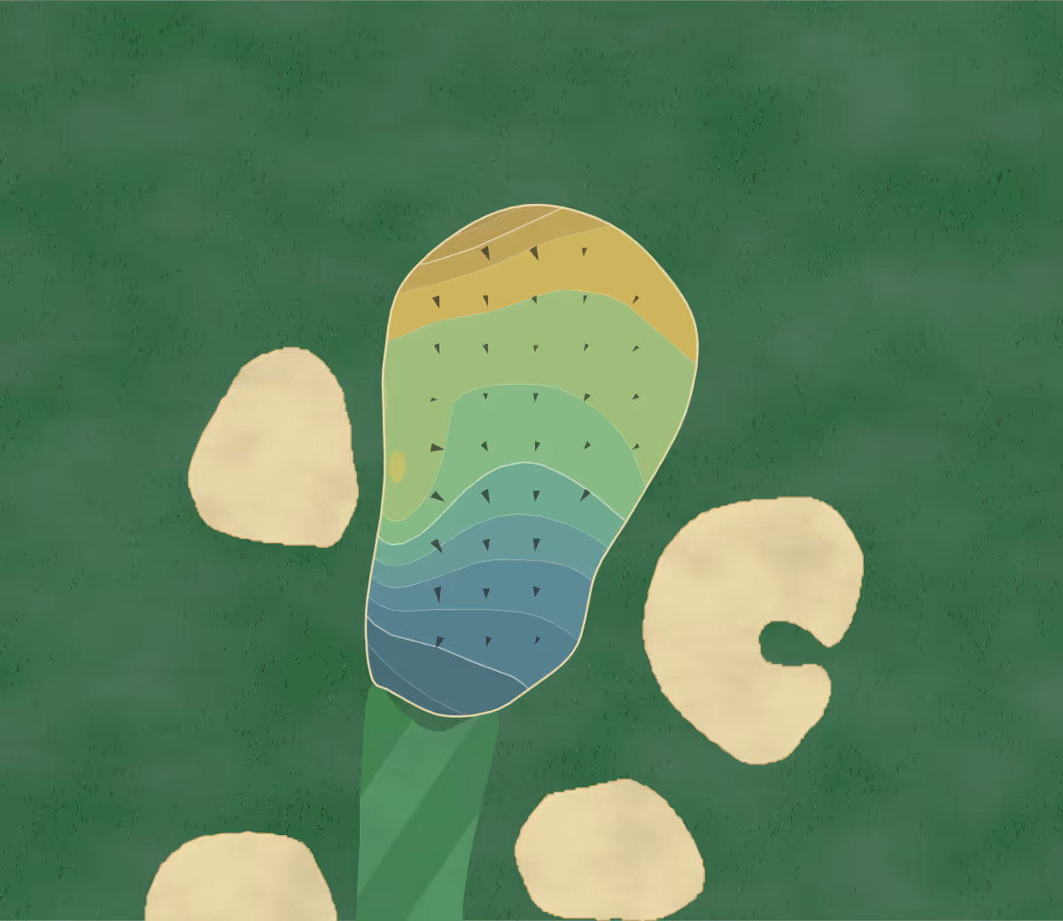 Green contour map of Rancho La Quinta in La Quinta, California — 20 elevation contours at a 3-inch interval with fall-line arrows, traced from 1-meter lidar