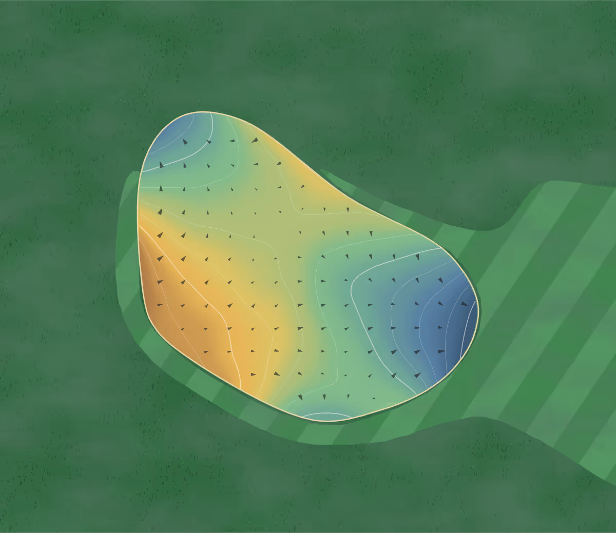Green contour map of Randolph Community in Randolph, Nebraska: 116 elevation contours at a 3-inch interval with fall-line arrows, traced from 1-meter lidar