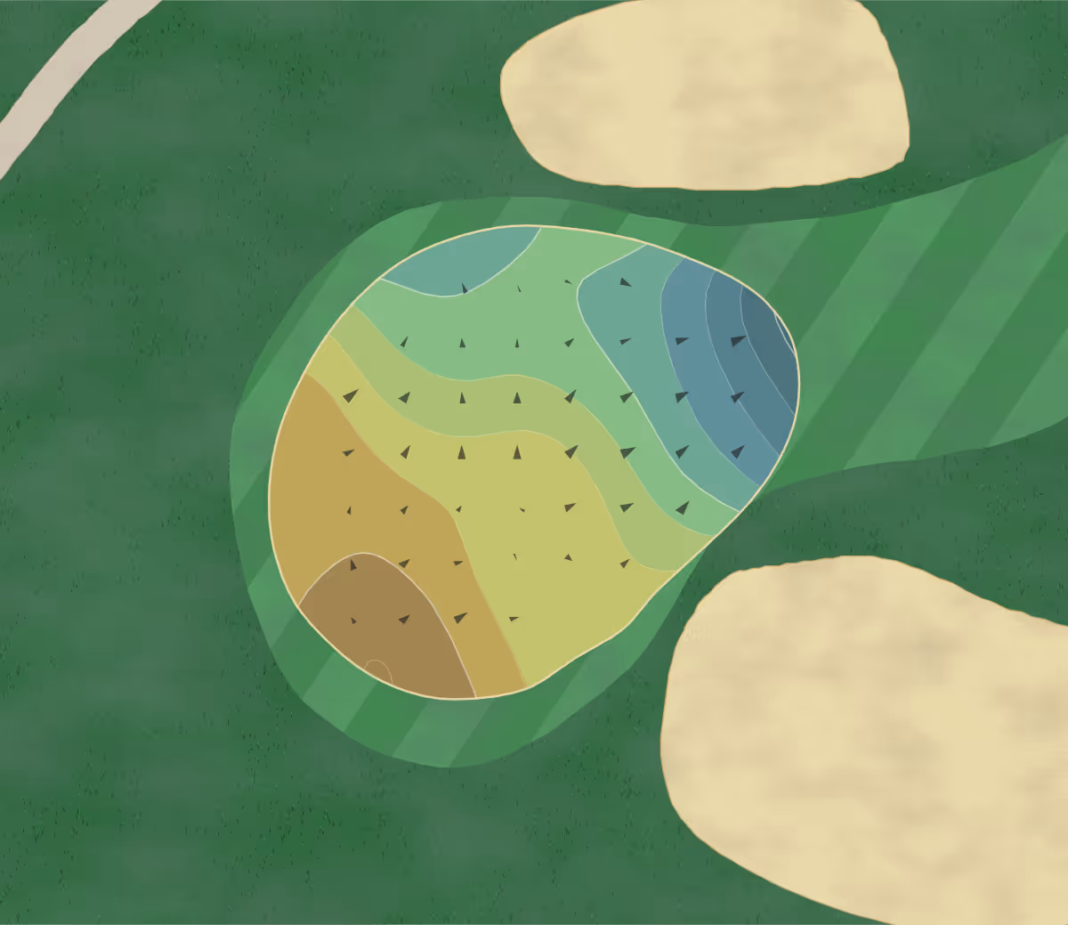 Green contour map of Randolph North in Tucson, Arizona — 201 elevation contours at a 3-inch interval with fall-line arrows, traced from 1-meter lidar