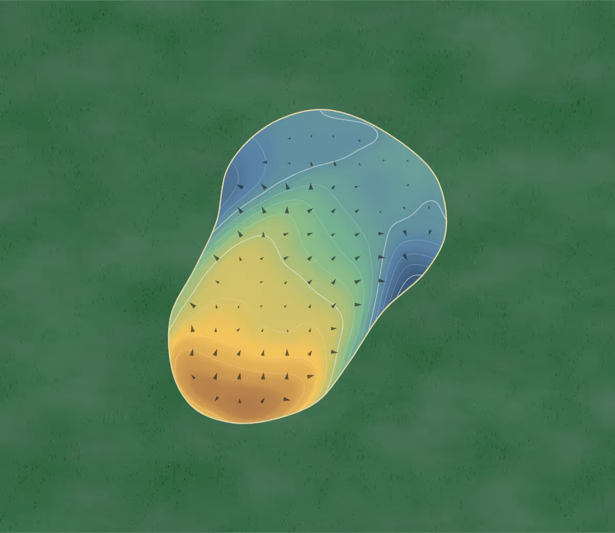 Green contour map of Rangatira in Hunterville, New Zealand — 181 elevation contours at a 8-centimeter interval with fall-line arrows, traced from 1-meter lidar