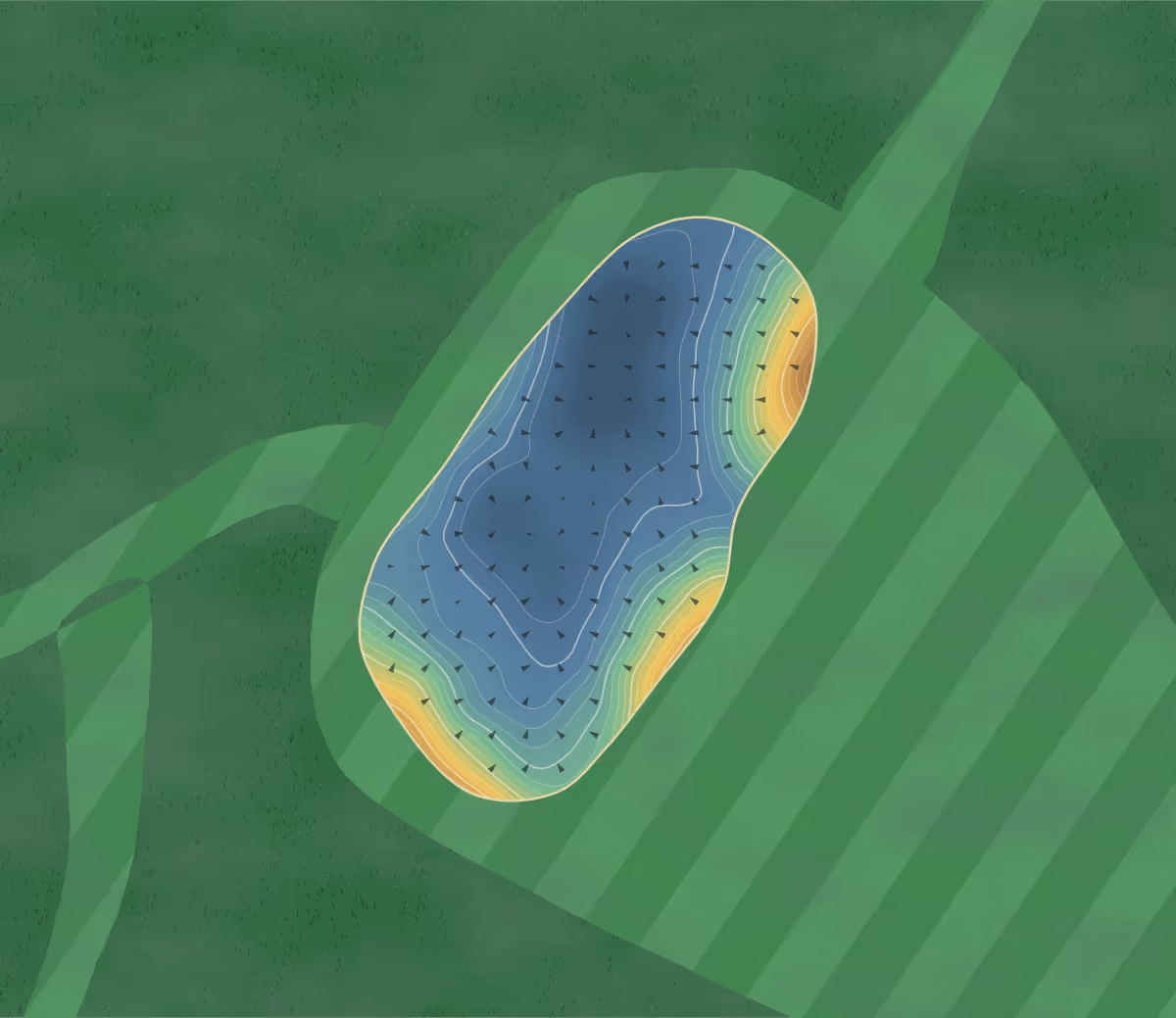 Green contour map of Askernish in Isle of South Uist, United Kingdom — 334 elevation contours at a 8-centimeter interval with fall-line arrows, traced from 1-meter lidar