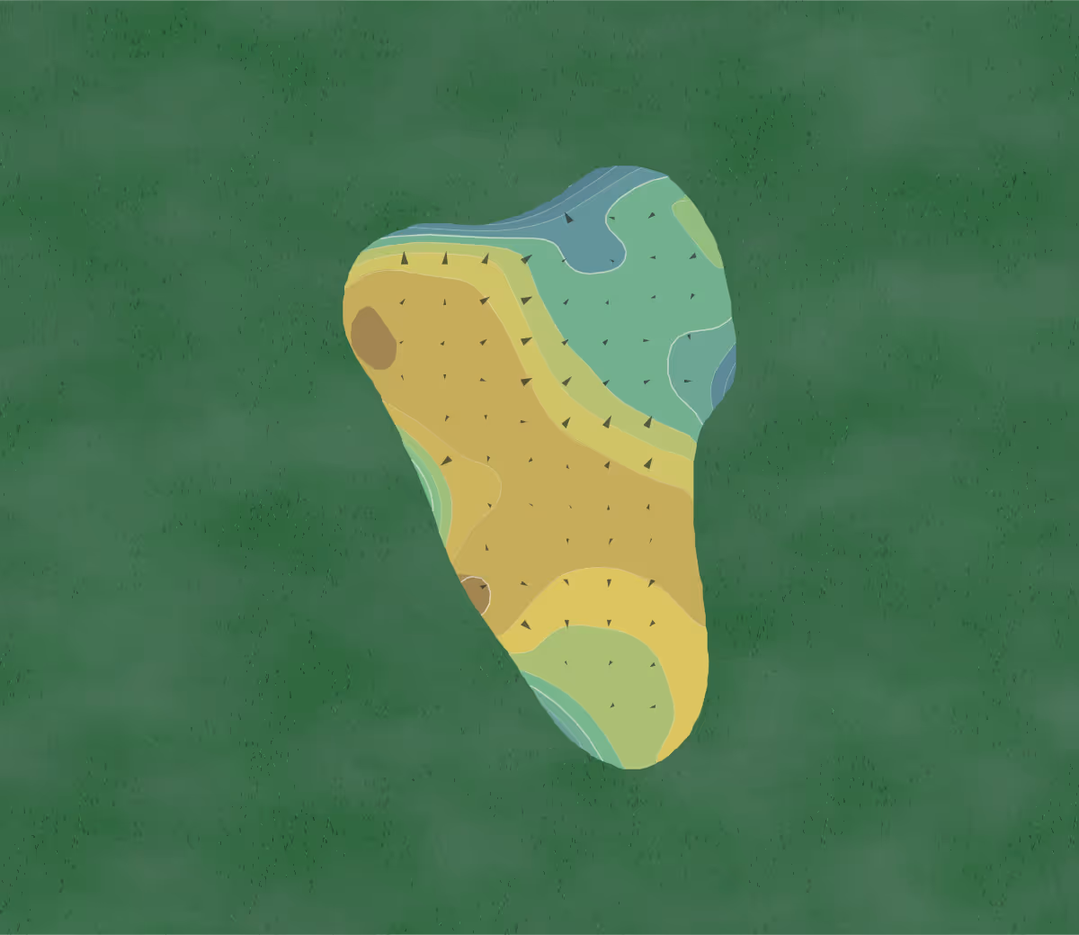 Green contour map of Raptor Bay in Bonita Springs, Florida — 200 elevation contours at a 3-inch interval with fall-line arrows, traced from 1-meter lidar