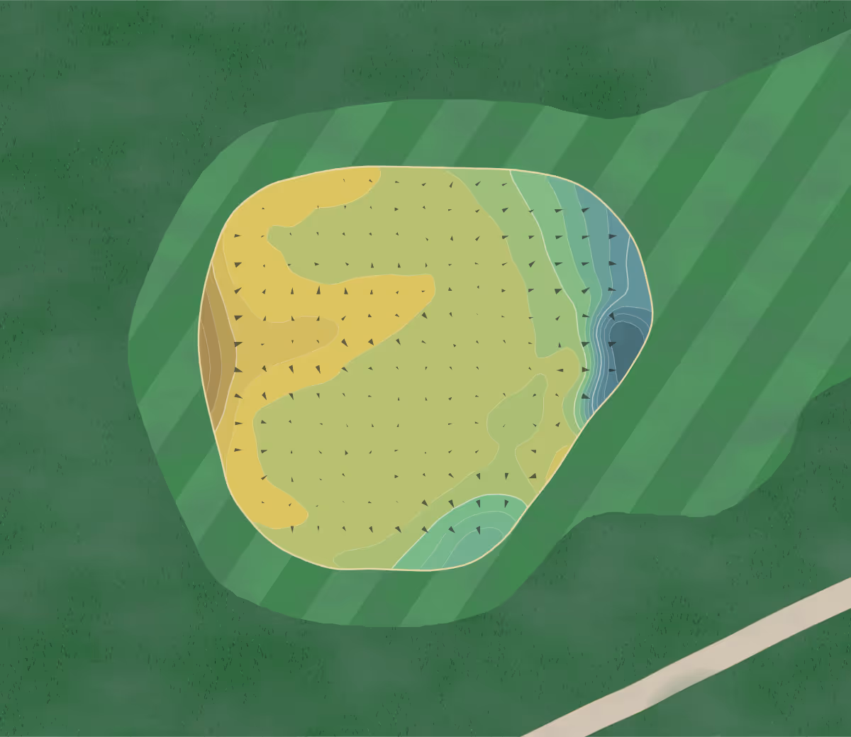 Green contour map of Ratho Park in Newbridge, Scotland — 198 elevation contours at a 8-centimeter interval with fall-line arrows, traced from 1-meter lidar