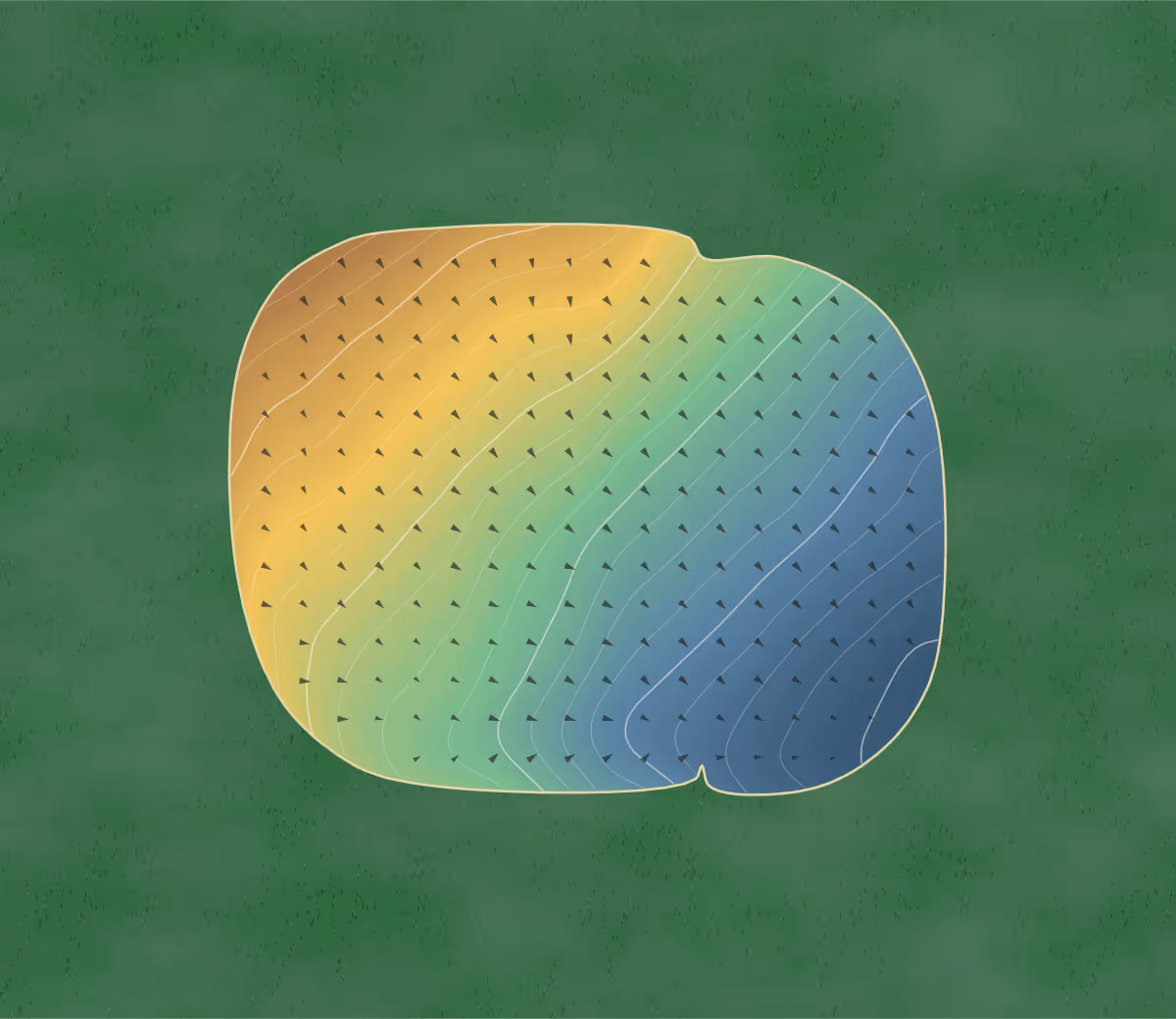 Green contour map of Raven Crest in Edmonton, Canada: 229 elevation contours at a 8-centimeter interval with fall-line arrows, traced from 1-meter lidar