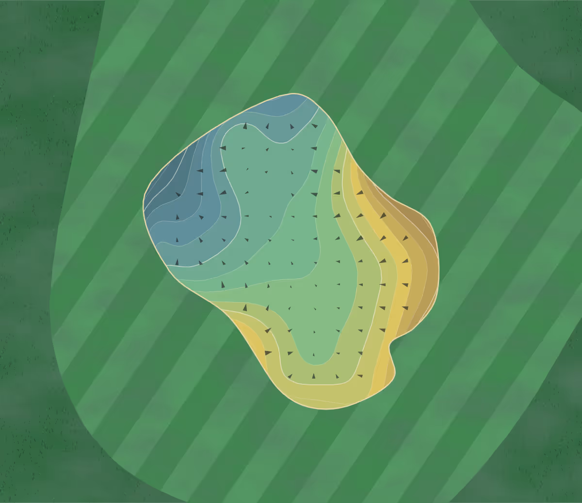 Green contour map of Red & Gray Fox in The Villages, Florida — 30 elevation contours at a 3-inch interval with fall-line arrows, traced from 1-meter lidar