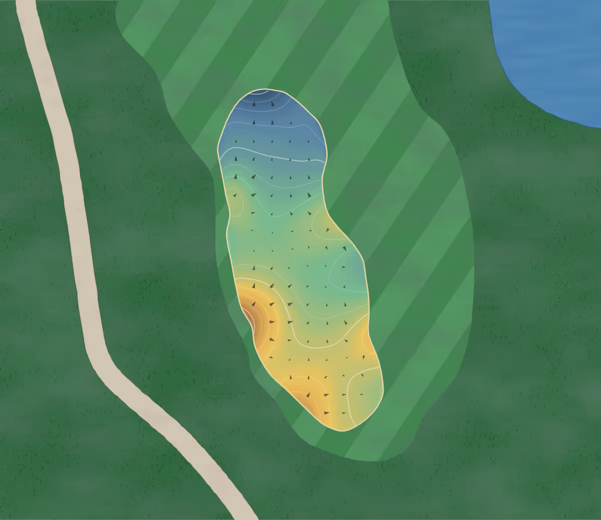 Green contour map of Red Tail in Avon, Ohio: 165 elevation contours at a 3-inch interval with fall-line arrows, traced from 1-meter lidar