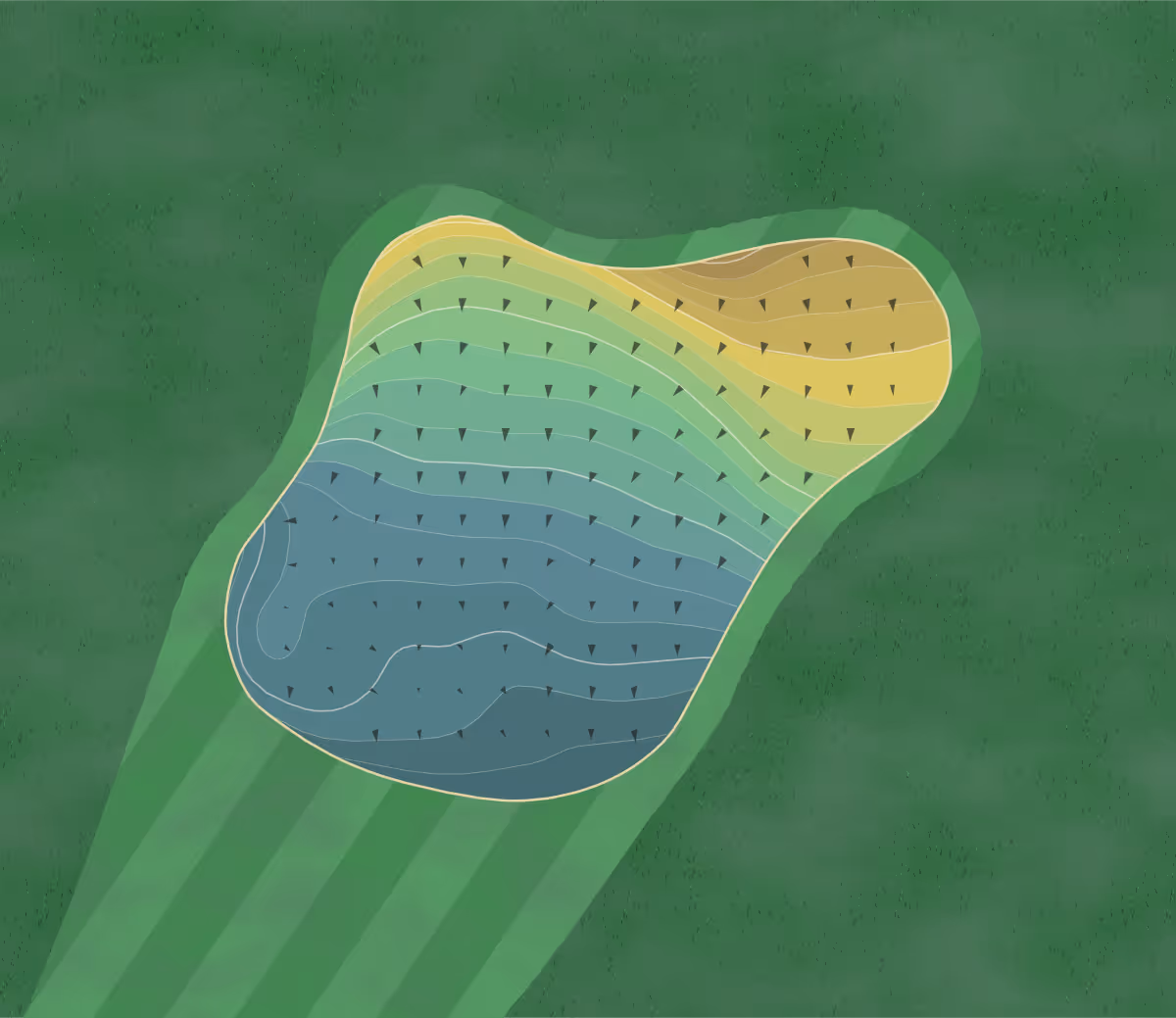 Green contour map of Redtail in Beaverton, Oregon — 228 elevation contours at a 3-inch interval with fall-line arrows, traced from 1-meter lidar