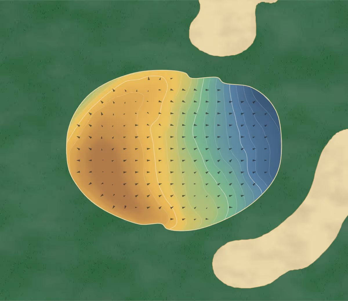 Green contour map of Redwood Meadows in Redwood Meadows, Canada: 180 elevation contours at a 8-centimeter interval with fall-line arrows, traced from 1-meter lidar