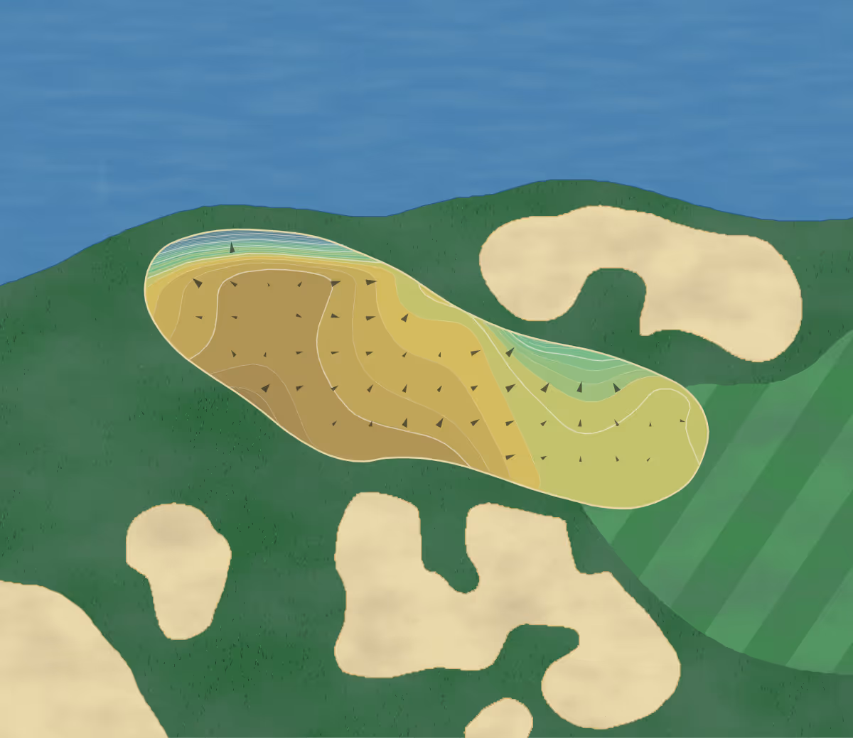 Green contour map of Reunion in Reunion, Florida — 224 elevation contours at a 3-inch interval with fall-line arrows, traced from 1-meter lidar