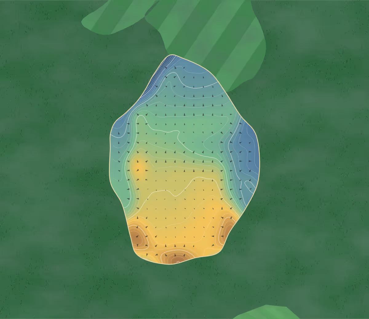 Green contour map of Revelstoke in Revelstoke, Canada: 250 elevation contours at a 8-centimeter interval with fall-line arrows, traced from 1-meter lidar
