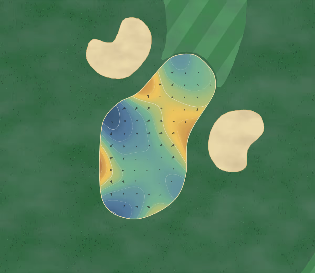 Green contour map of Revival in Salisbury, North Carolina — 145 elevation contours at a 3-inch interval with fall-line arrows, traced from 1-meter lidar