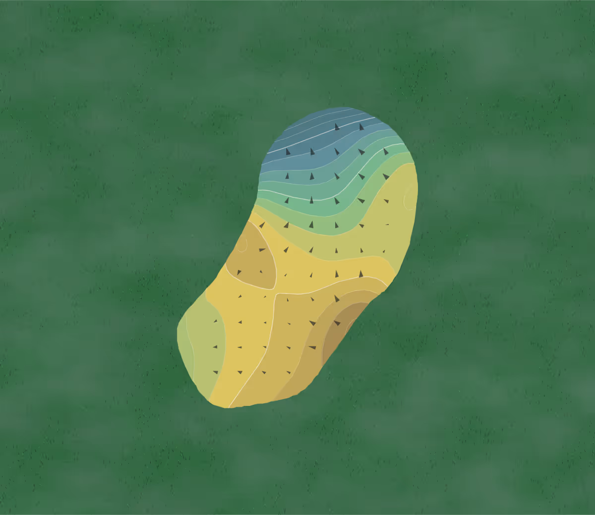 Green contour map of Reynolds Park in Winston-Salem, North Carolina — 220 elevation contours at a 3-inch interval with fall-line arrows, traced from 1-meter lidar