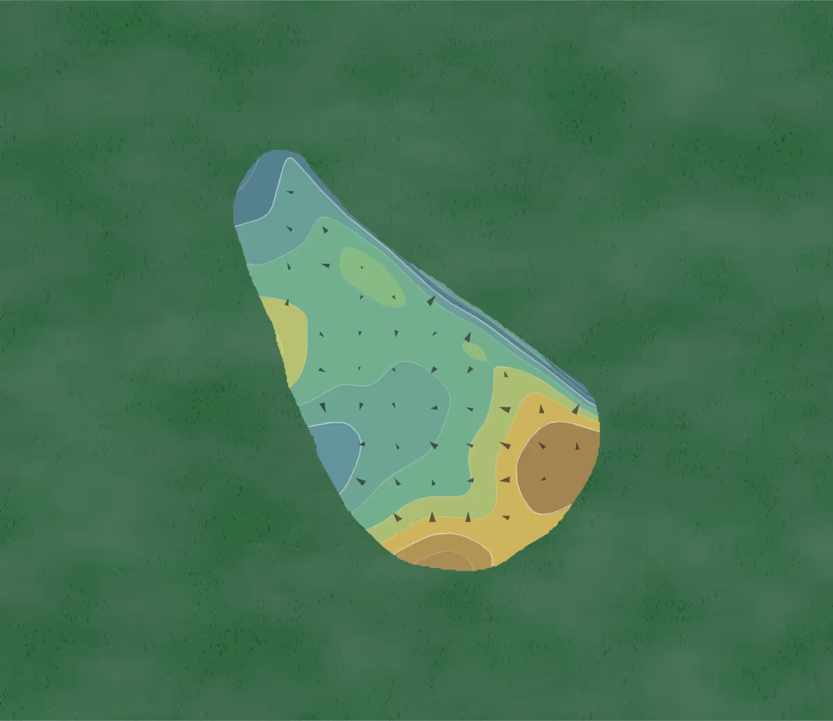 Green contour map of Ricefields in Riceboro, Georgia — 230 elevation contours at a 3-inch interval with fall-line arrows, traced from 1-meter lidar