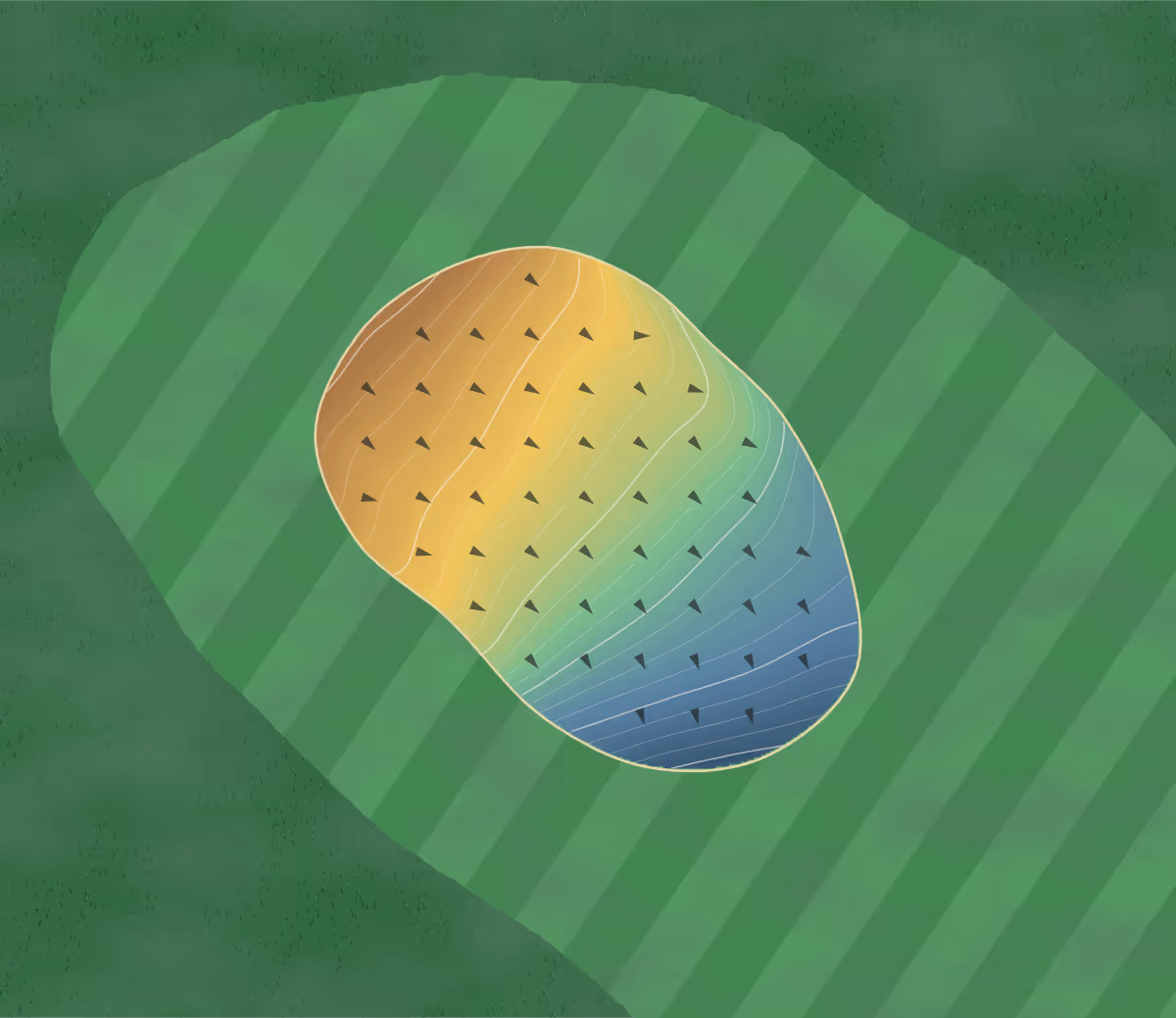 Green contour map of Rich Maiden in Fleetwood, Pennsylvania: 209 elevation contours at a 3-inch interval with fall-line arrows, traced from 1-meter lidar