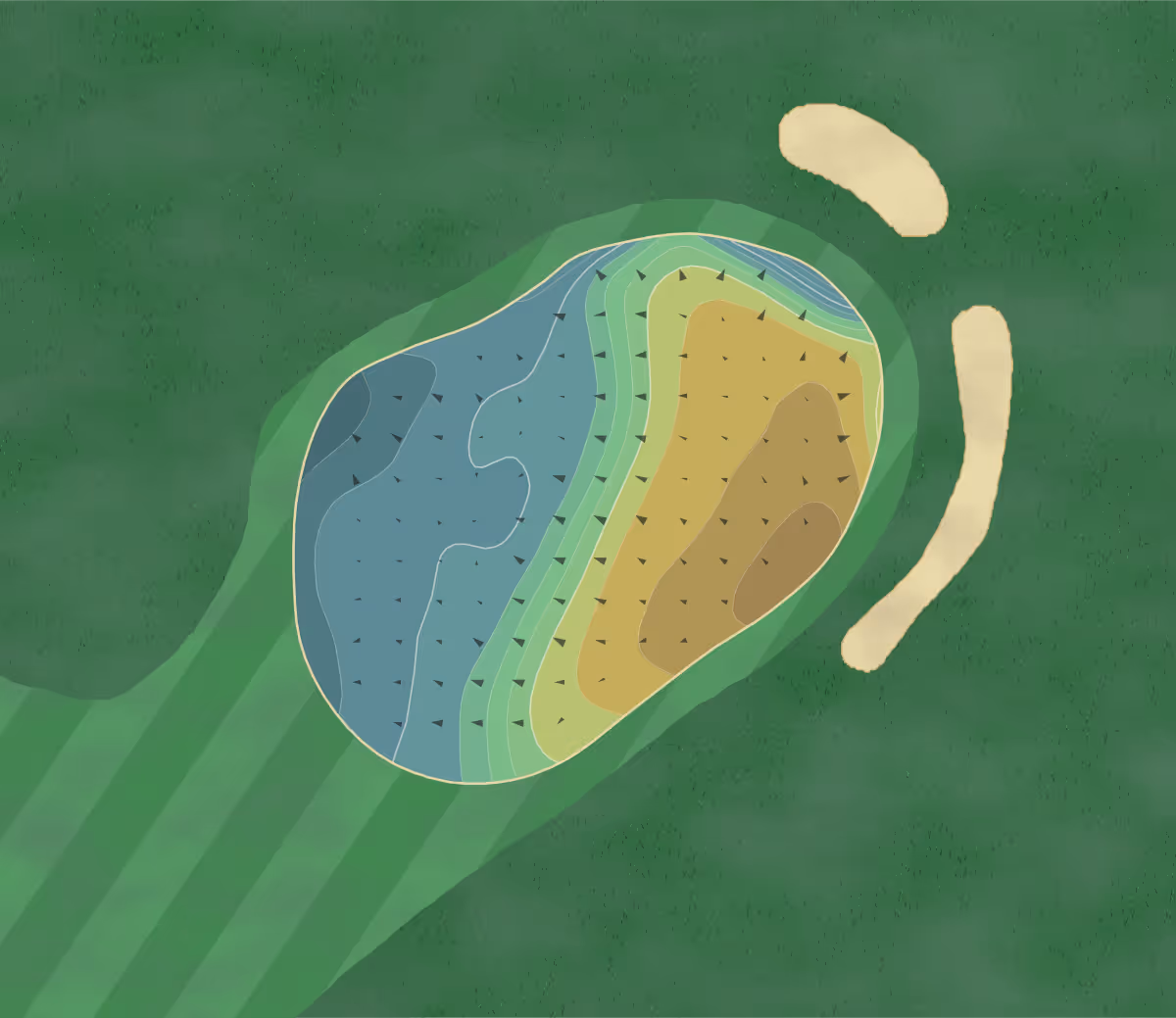 Green contour map of Richmond Park in Thetford, England — 103 elevation contours at a 8-centimeter interval with fall-line arrows, traced from 1-meter lidar