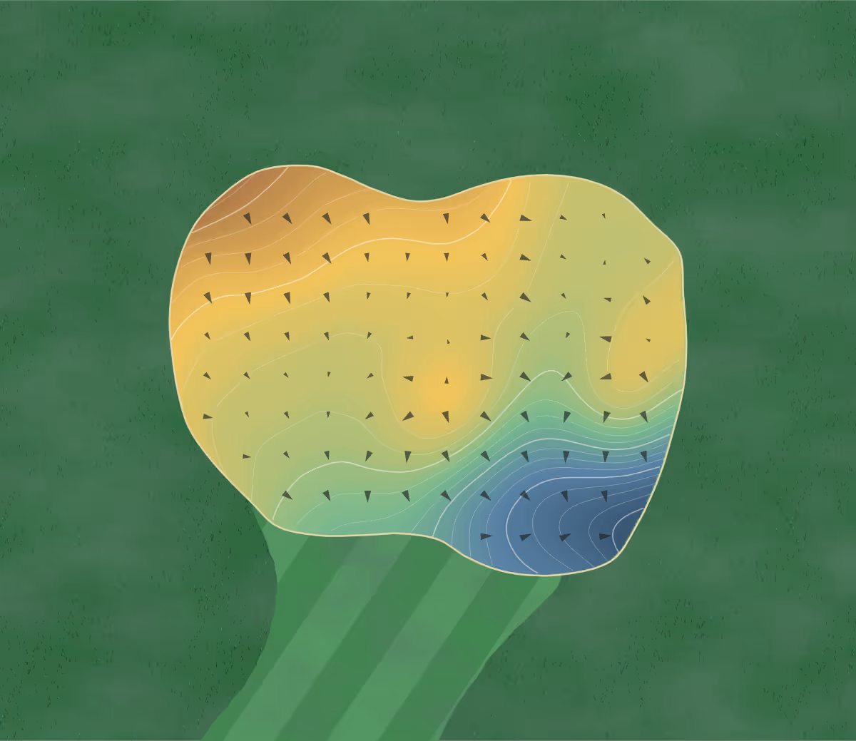 Green contour map of Ridgeview Ranch in Plano, Texas: 207 elevation contours at a 3-inch interval with fall-line arrows, traced from 1-meter lidar