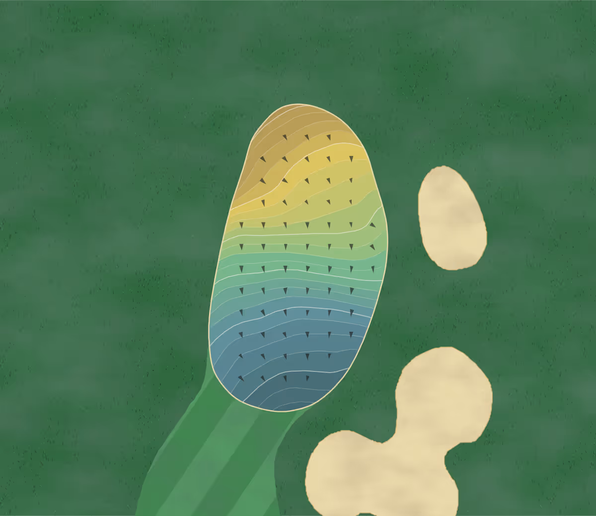 Green contour map of Ridgewood CC in Danbury, Connecticut — 228 elevation contours at a 3-inch interval with fall-line arrows, traced from 1-meter lidar