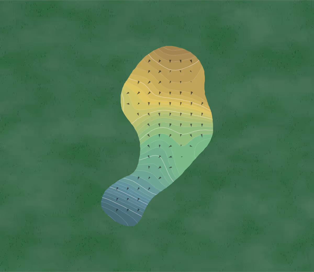 Green contour map of River Pointe in Albany, Georgia — 207 elevation contours at a 3-inch interval with fall-line arrows, traced from 1-meter lidar
