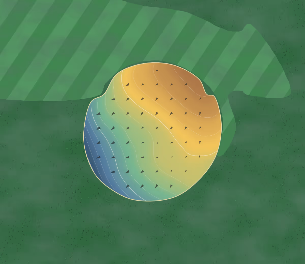 Green contour map of River Ridge Golf Club in Bracey, United States: 80 elevation contours at a 3-inch interval with fall-line arrows, traced from 1-meter lidar