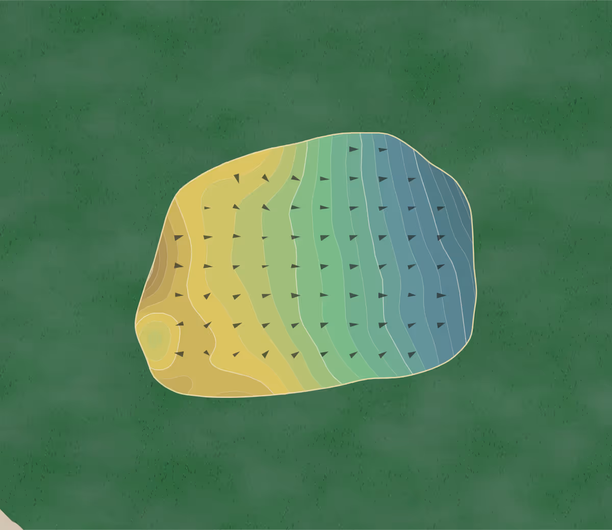 Green contour map of River Vale Country Club in River Vale, New Jersey — 183 elevation contours at a 3-inch interval with fall-line arrows, traced from 1-meter lidar