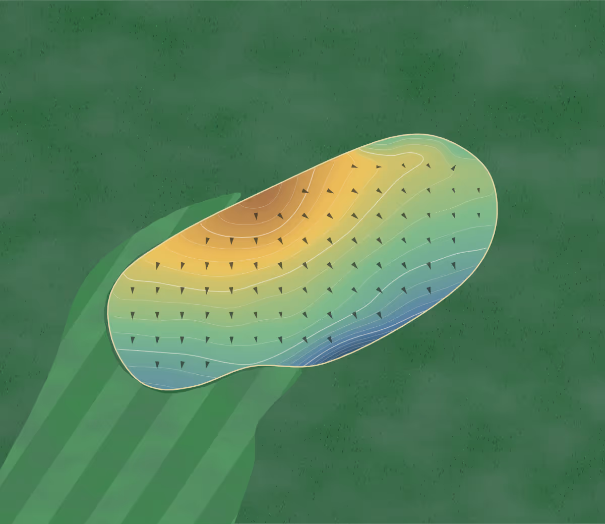 Green contour map of Rivermont in Johns Creek, Georgia — 114 elevation contours at a 3-inch interval with fall-line arrows, traced from 1-meter lidar