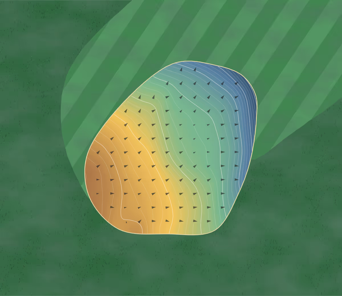 Green contour map of RNZAF in Auckland, New Zealand — 179 elevation contours at a 8-centimeter interval with fall-line arrows, traced from 1-meter lidar